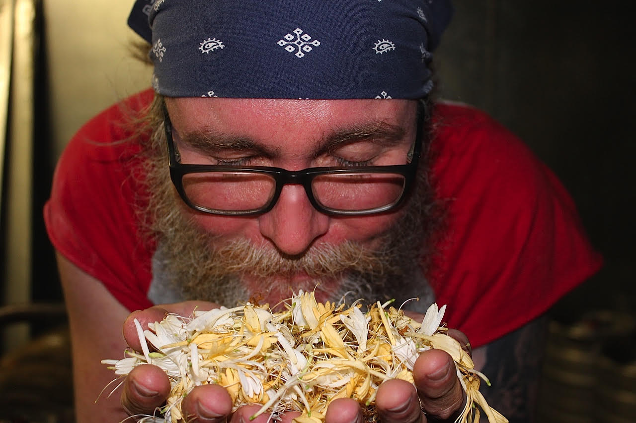 Jeff Adams from Saw Works smells the honeysuckle before adding to the brew.