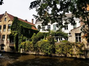 Bruges canal with grasse and vines